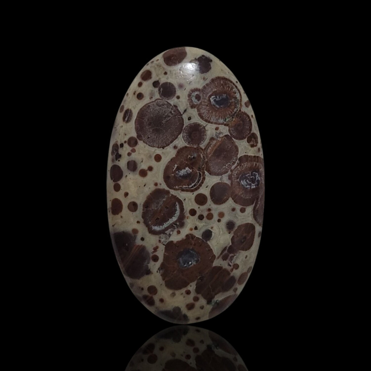 Natural Asteroid Jasper Cabochons - 10) 28.5Ct, 35x20mm