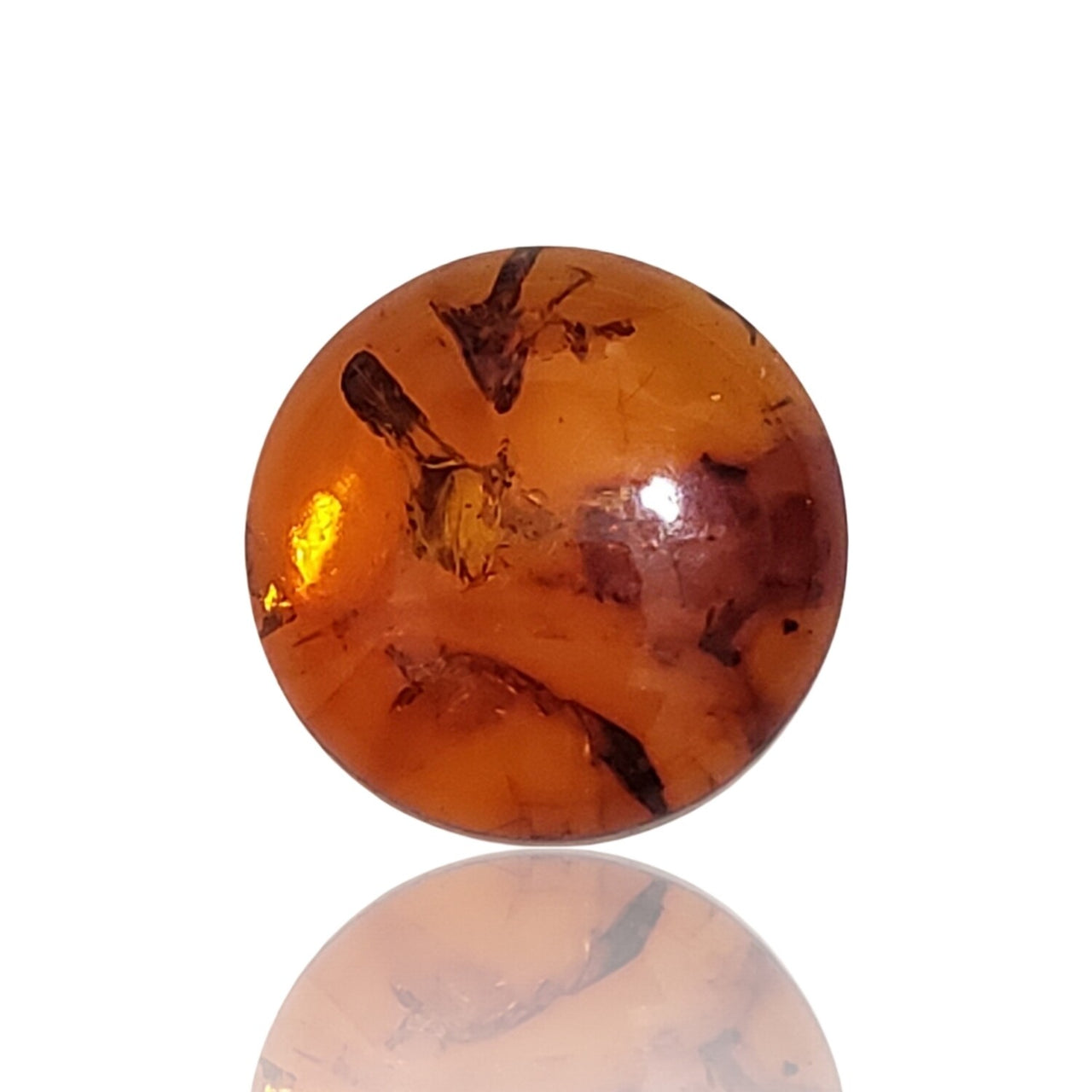 Natural Baltic Amber Round Cabochons 16mm each - 7) 16mm