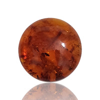 Thumbnail for Natural Baltic Amber Round Cabochons 20mm each - 1)