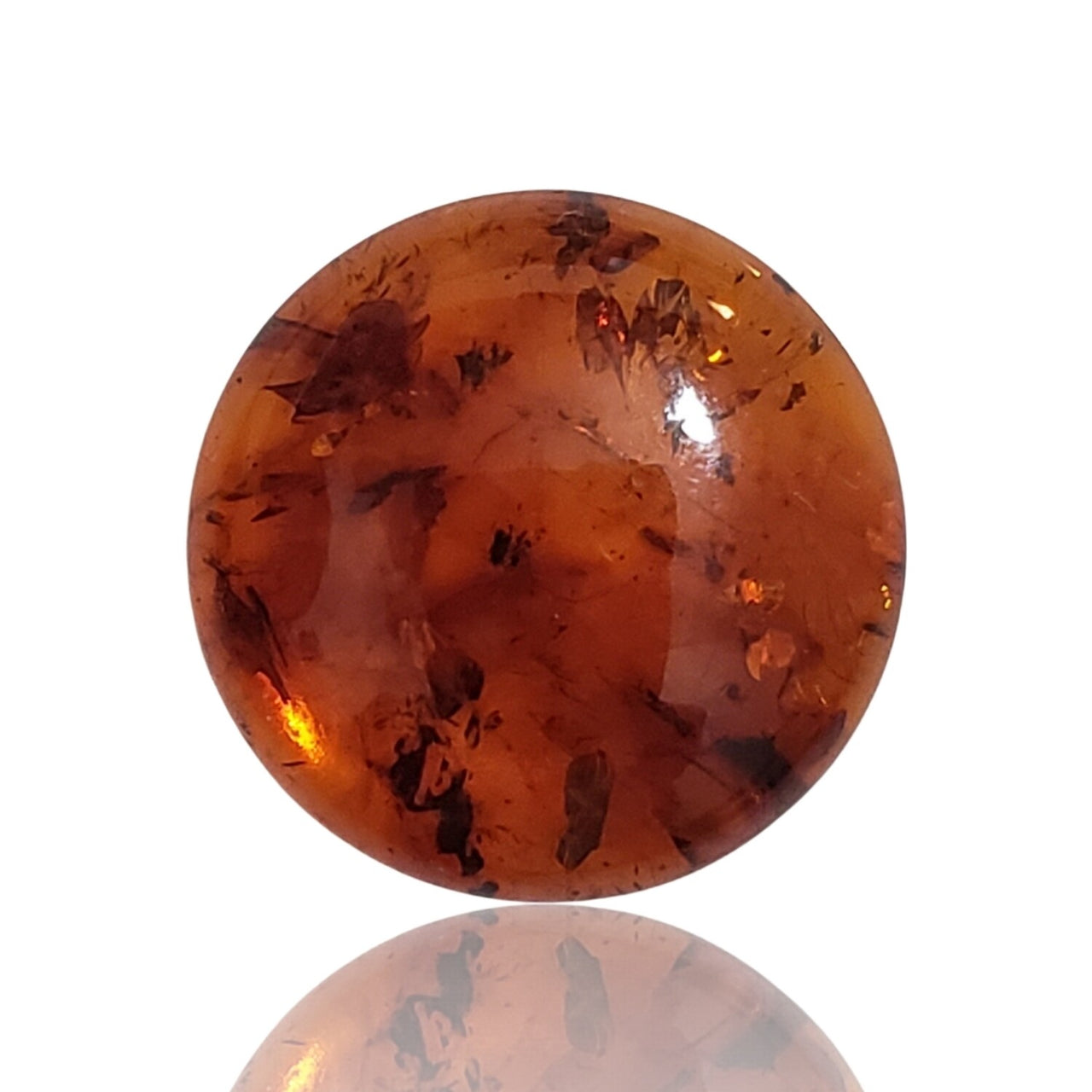 Natural Baltic Amber Round Cabochons 20mm each - 9)