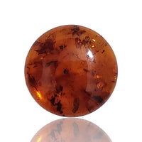 Thumbnail for Natural Baltic Amber Round Cabochons 20mm each - 9)