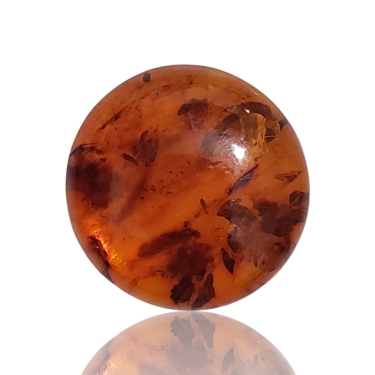 Natural Baltic Amber Round Cabochons 20mm each - 7)