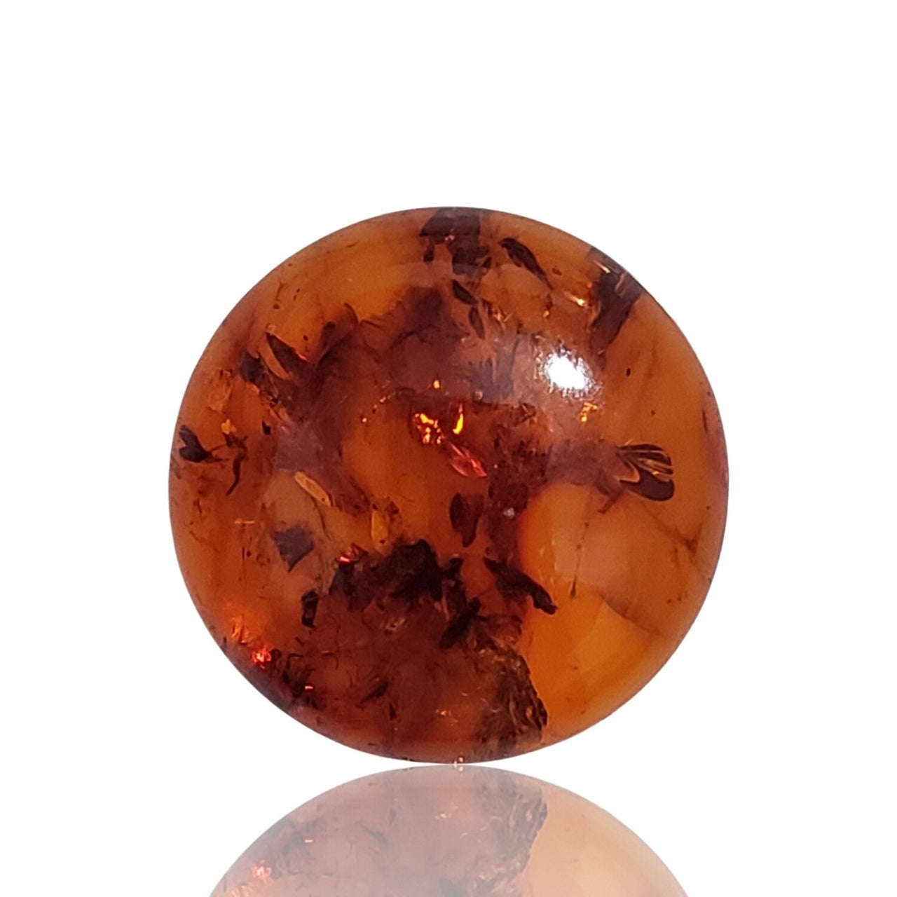 Natural Baltic Amber Round Cabochons 20mm each - 3)