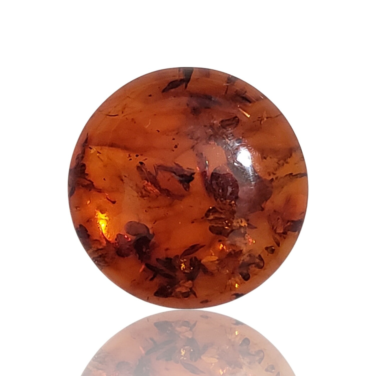 Natural Baltic Amber Round Cabochons 20mm each - 2)