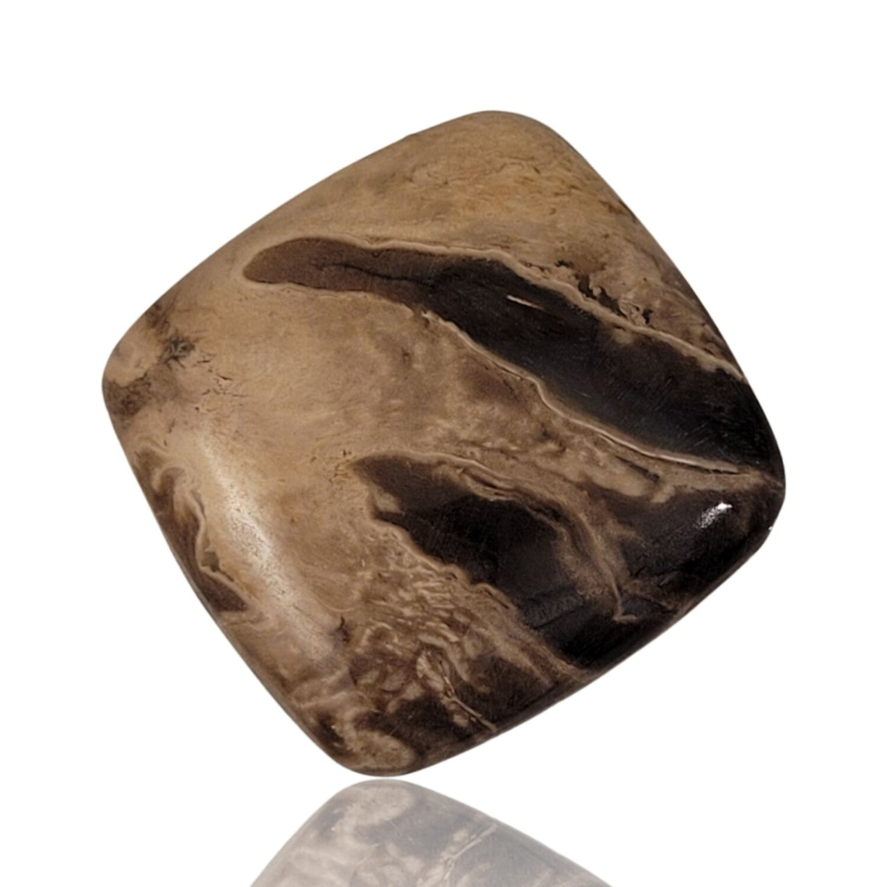 Natural Indonesian Petrified Palm Wood Cabochons - 3) 28Ct, 25x25mm