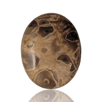 Thumbnail for Natural Indonesian Petrified Palm Wood Cabochons - 4) 28Ct, 30x23mm