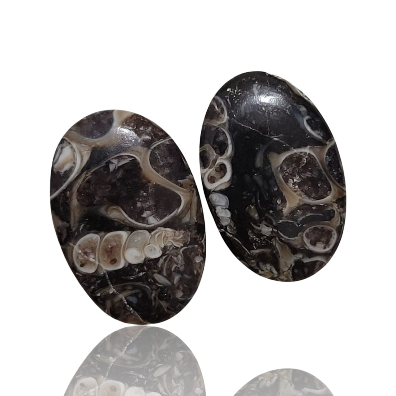 Natural Turritella Agate Cabochon Pairs - 3) 19Ct, approx. 19x13mm each