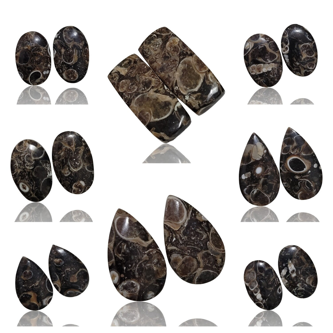 Natural Turritella Agate Cabochon Pairs