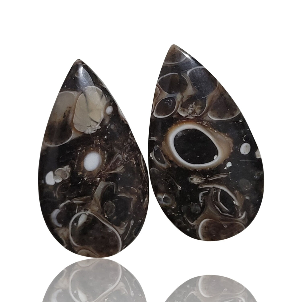 Natural Turritella Agate Cabochon Pairs - 2) 26Ct, approx. 25x14mm each