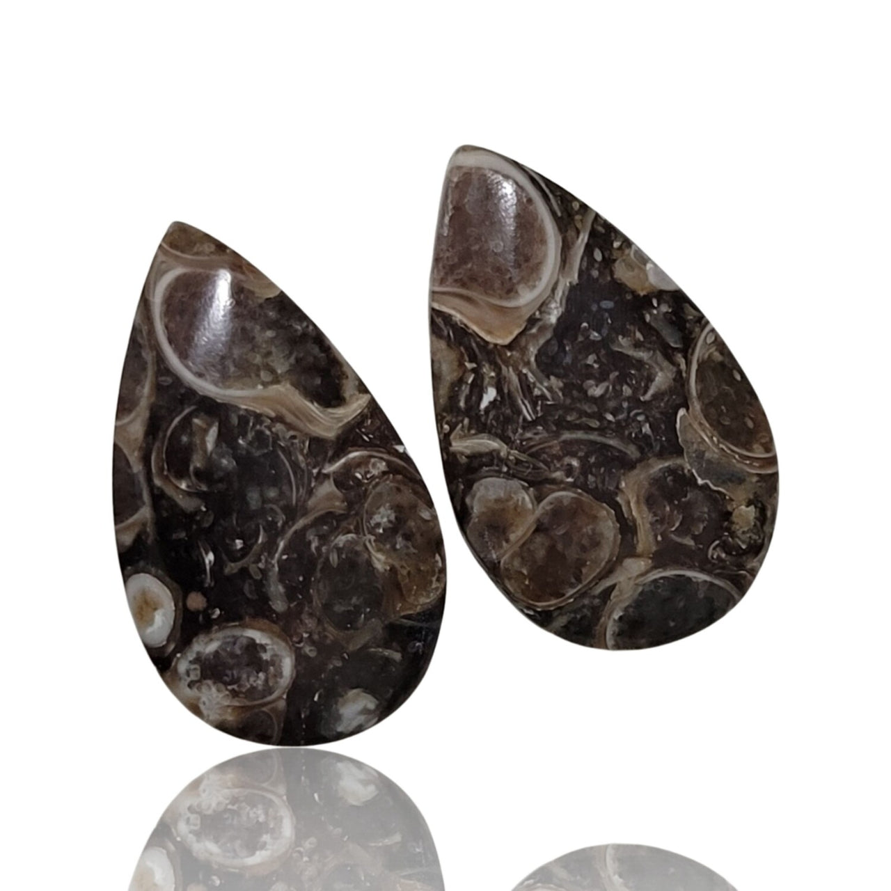 Natural Turritella Agate Cabochon Pairs - 4) 22Ct, approx. 21x12mm each