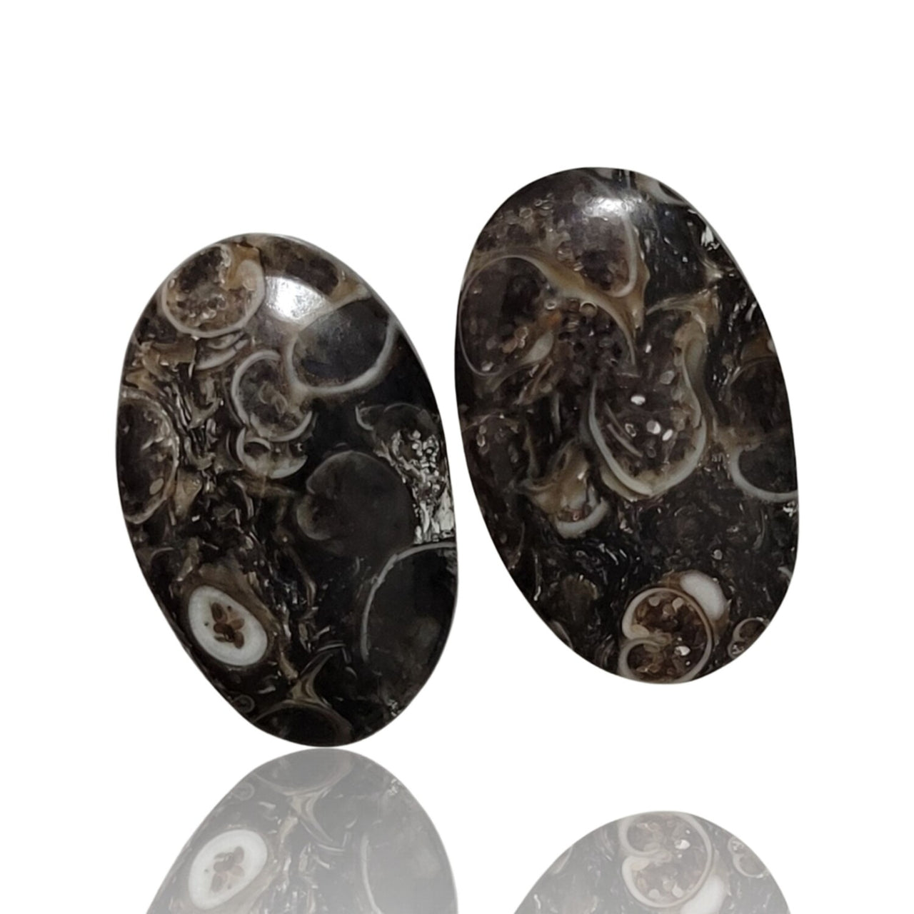 Natural Turritella Agate Cabochon Pairs - 6) 18Ct, approx. 19x12mm each