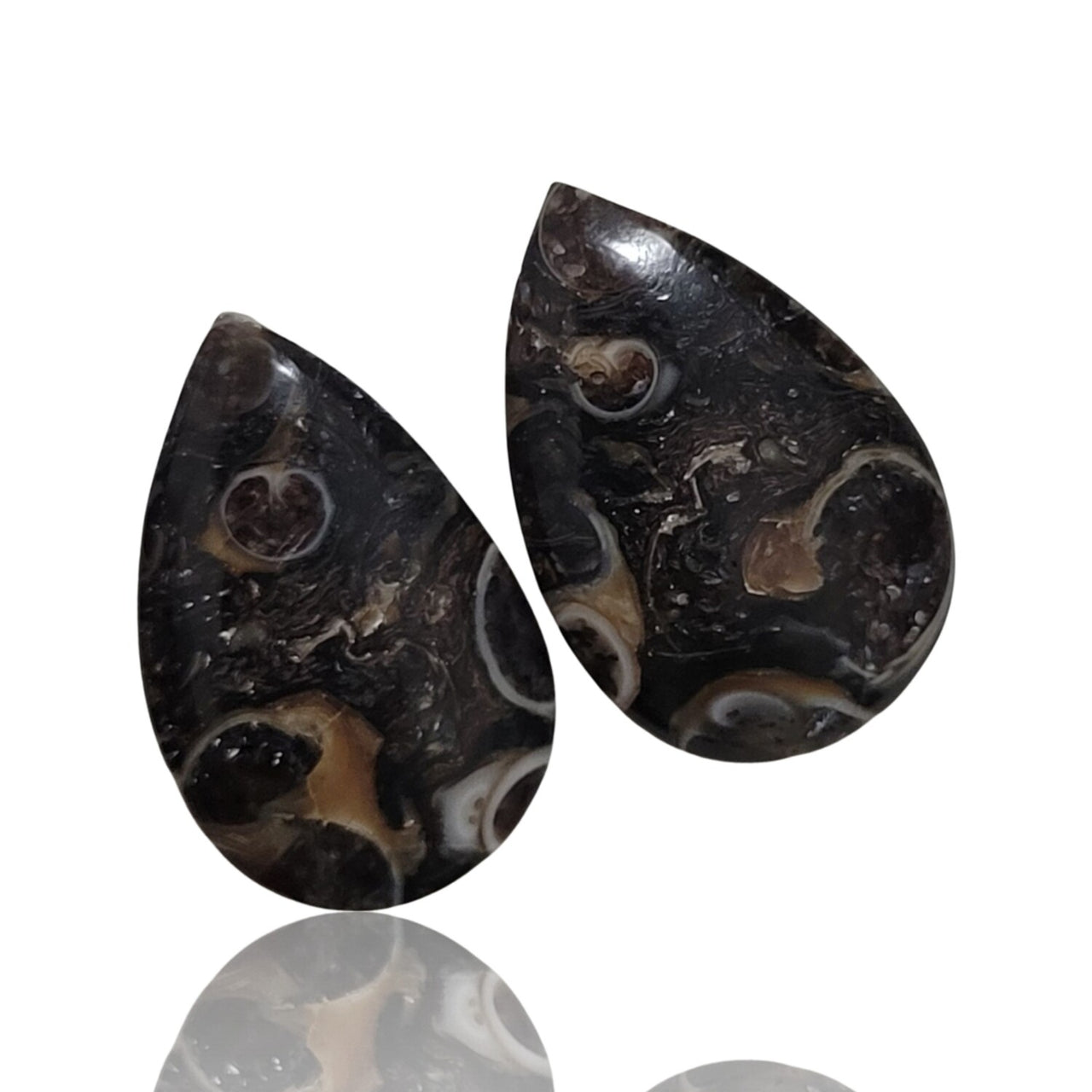 Natural Turritella Agate Cabochon Pairs - 5) 20Ct, approx. 20x13mm each