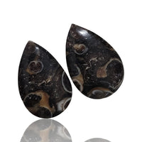 Thumbnail for Natural Turritella Agate Cabochon Pairs - 5) 20Ct, approx. 20x13mm each