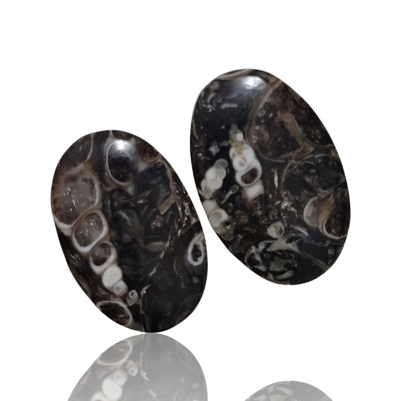 Natural Turritella Agate Cabochon Pairs - 8) 18Ct, approx. 20x13mm each