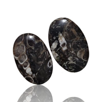 Thumbnail for Natural Turritella Agate Cabochon Pairs - 8) 18Ct, approx. 20x13mm each