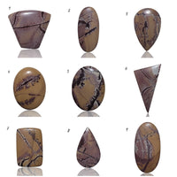 Thumbnail for Natural Sonoran Dendritic Jasper Cabochons