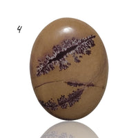 Thumbnail for Natural Sonoran Dendritic Jasper Cabochons - 4) 21Ct, 24x19mm