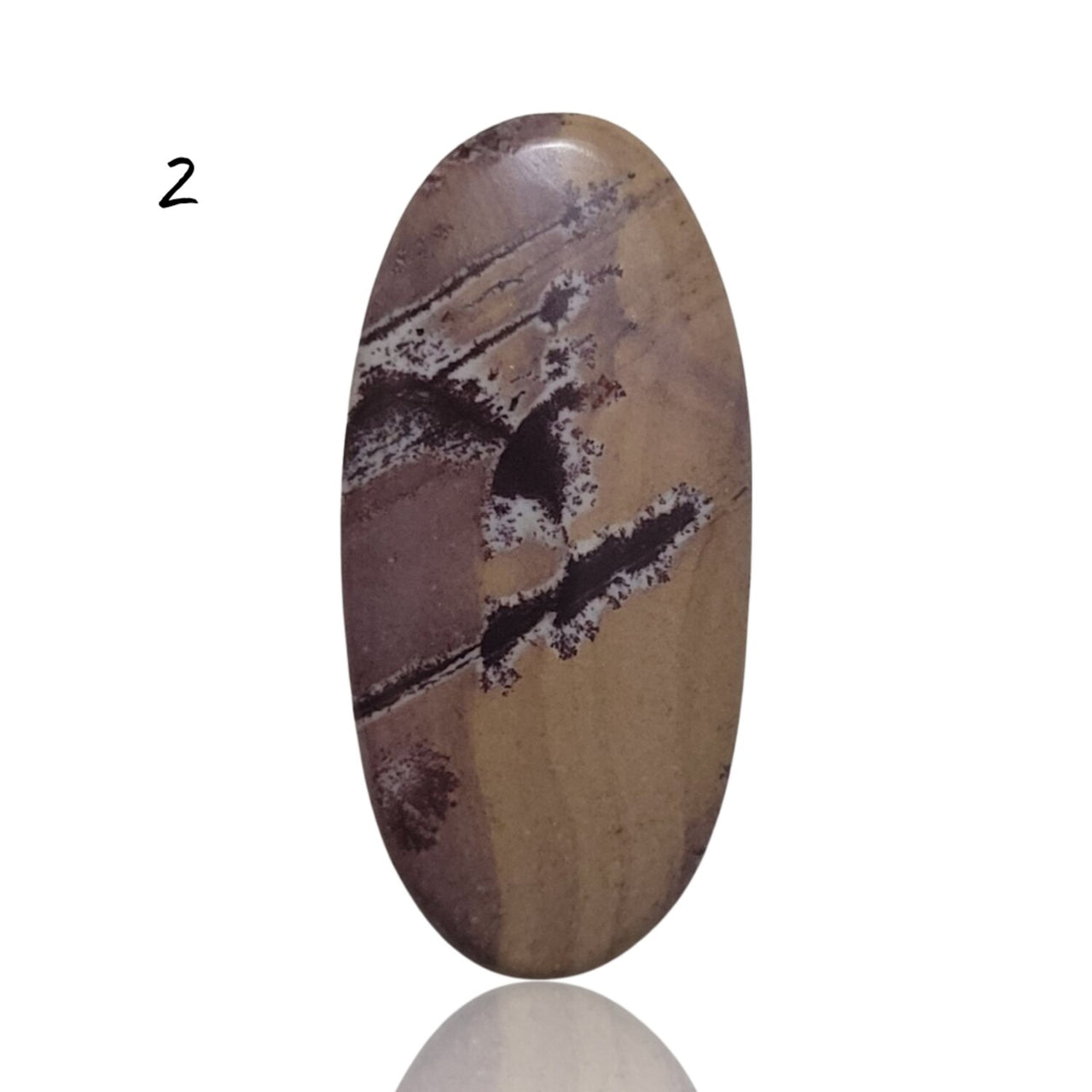 Natural Sonoran Dendritic Jasper Cabochons - 2) 19Ct, 31x15mm