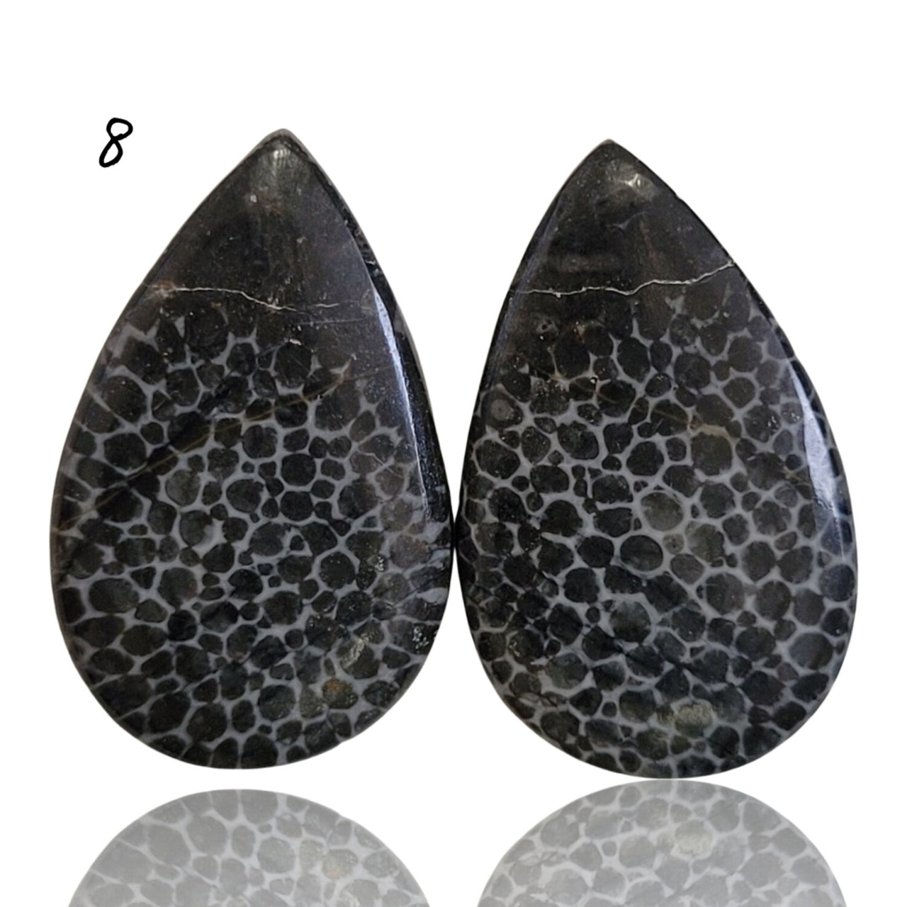 Natural Black Fossil Coral Cabochon Pairs - 8) 24Ct, approx. 25x16mm each