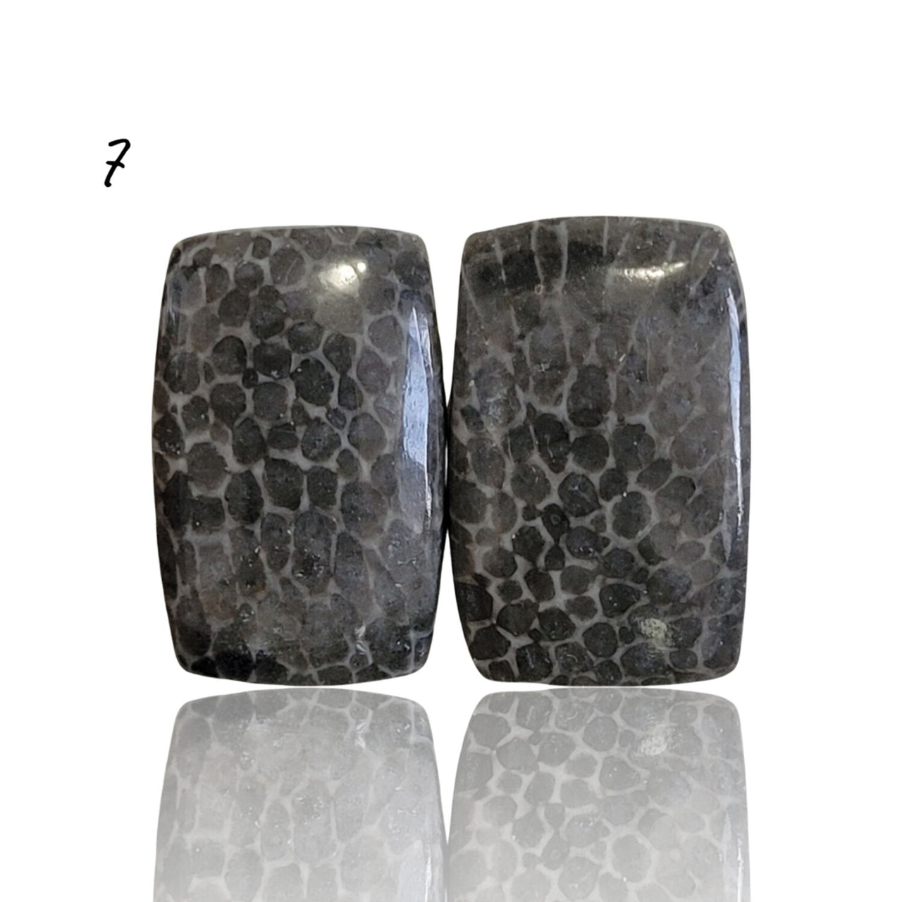 Natural Black Fossil Coral Cabochon Pairs - 7) 17Ct, approx. 18x12mm each