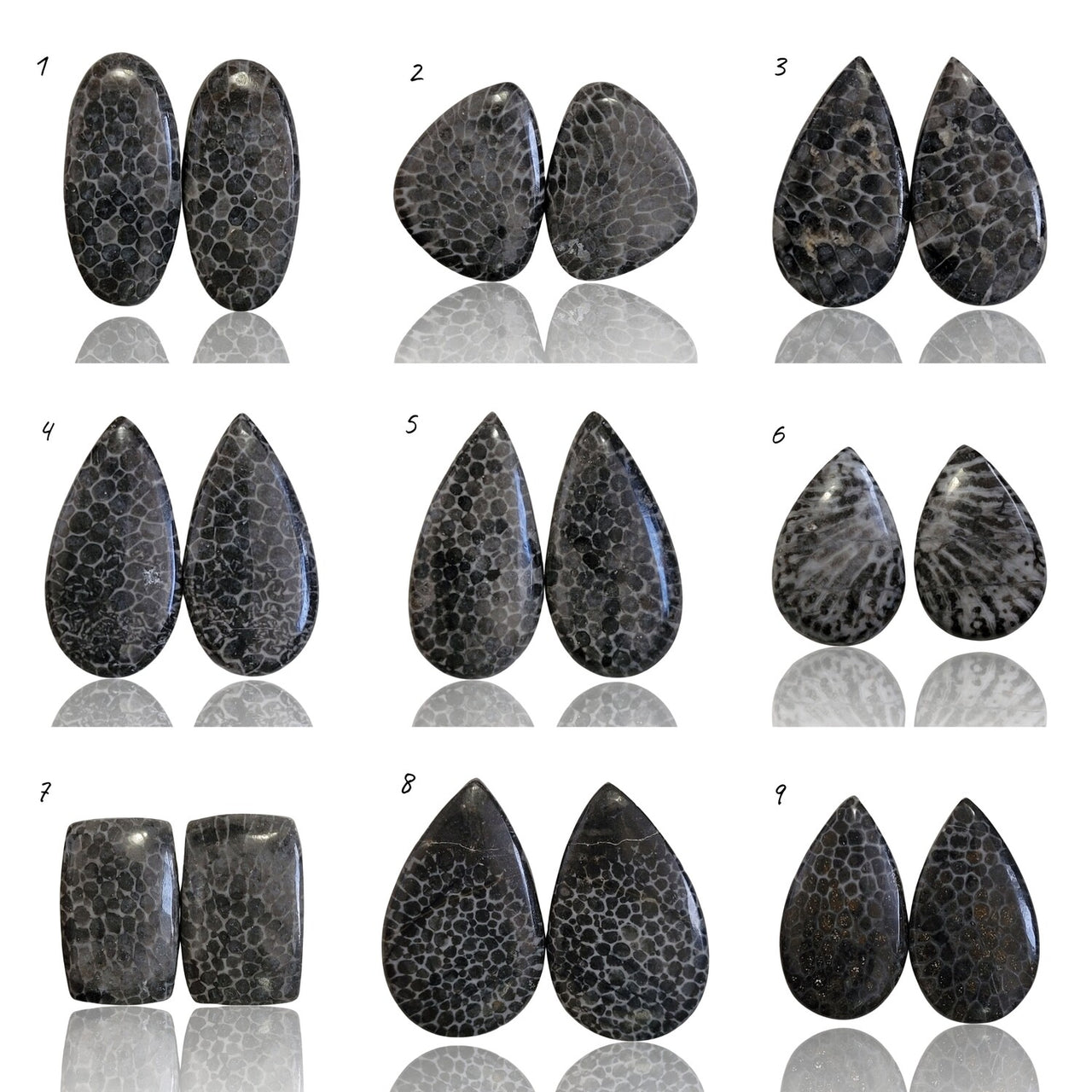 Natural Black Fossil Coral Cabochon Pairs