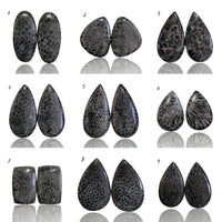 Thumbnail for Natural Black Fossil Coral Cabochon Pairs