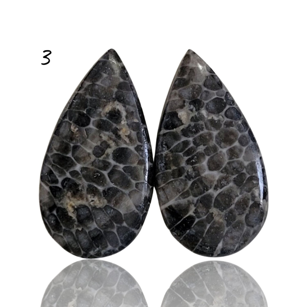 Natural Black Fossil Coral Cabochon Pairs - 3) 12Ct, approx. 20x11mm each