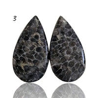 Thumbnail for Natural Black Fossil Coral Cabochon Pairs - 3) 12Ct, approx. 20x11mm each