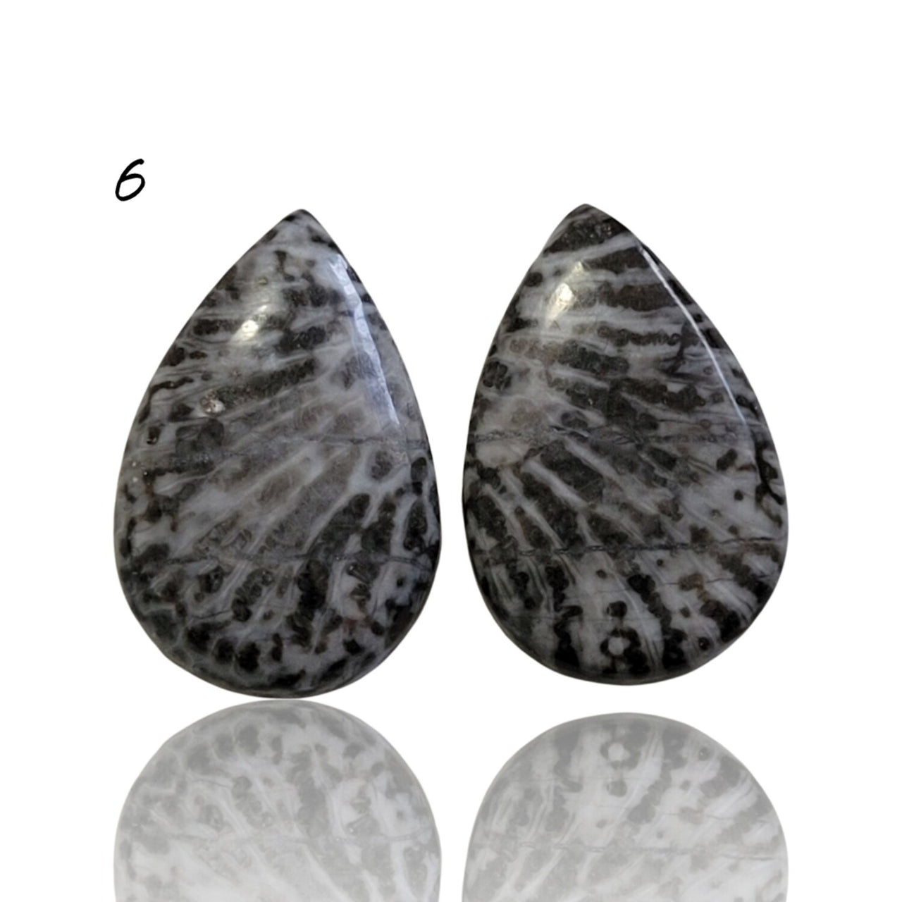 Natural Black Fossil Coral Cabochon Pairs - 6) 16Ct, approx. 19x12mm each