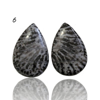 Thumbnail for Natural Black Fossil Coral Cabochon Pairs - 6) 16Ct, approx. 19x12mm each