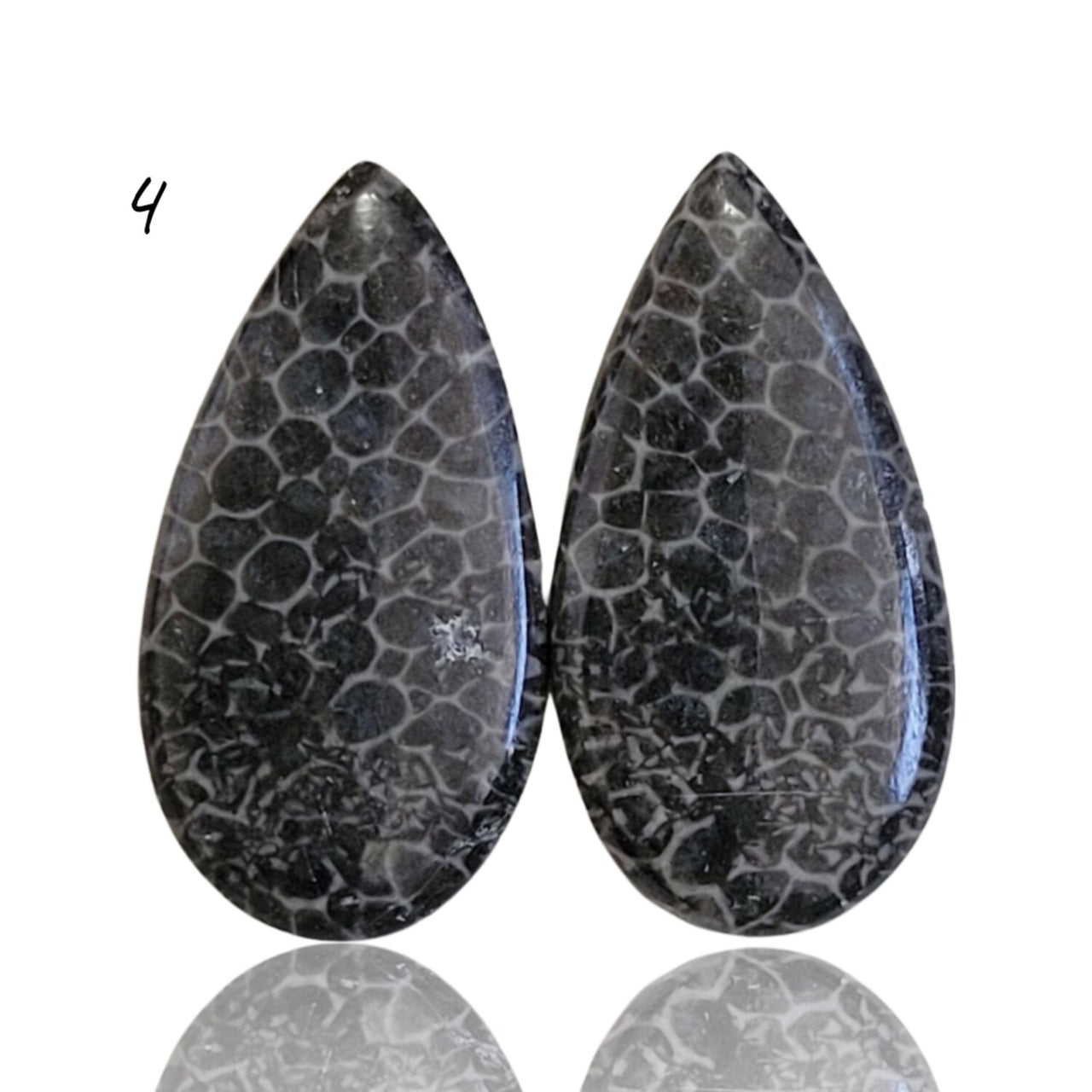 Natural Black Fossil Coral Cabochon Pairs - 4) 7Ct, approx. 20x10mm each