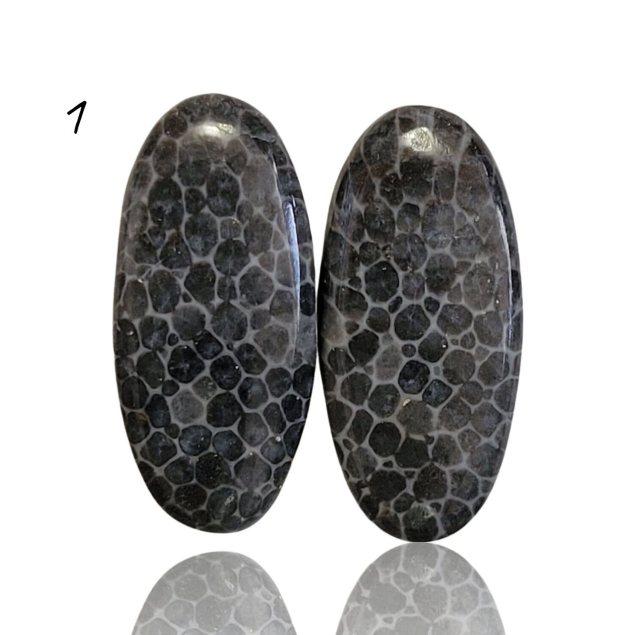 Natural Black Fossil Coral Cabochon Pairs - 1) 17Ct, approx. 21x10mm each