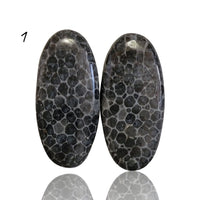 Thumbnail for Natural Black Fossil Coral Cabochon Pairs - 1) 17Ct, approx. 21x10mm each