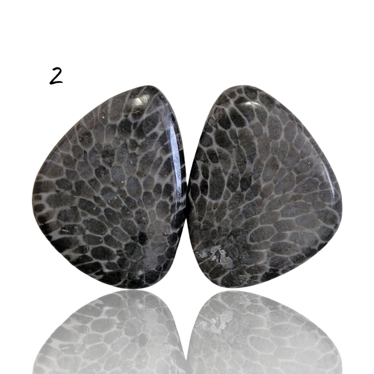 Natural Black Fossil Coral Cabochon Pairs - 2) 20Ct, approx. 21x16mm each