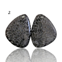 Thumbnail for Natural Black Fossil Coral Cabochon Pairs - 2) 20Ct, approx. 21x16mm each