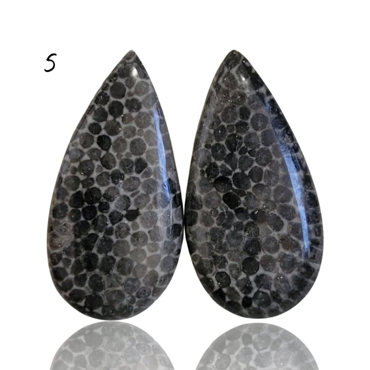 Natural Black Fossil Coral Cabochon Pairs - 5) 19Ct, approx. 23x12mm each