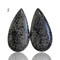 Thumbnail for Natural Black Fossil Coral Cabochon Pairs - 5) 19Ct, approx. 23x12mm each