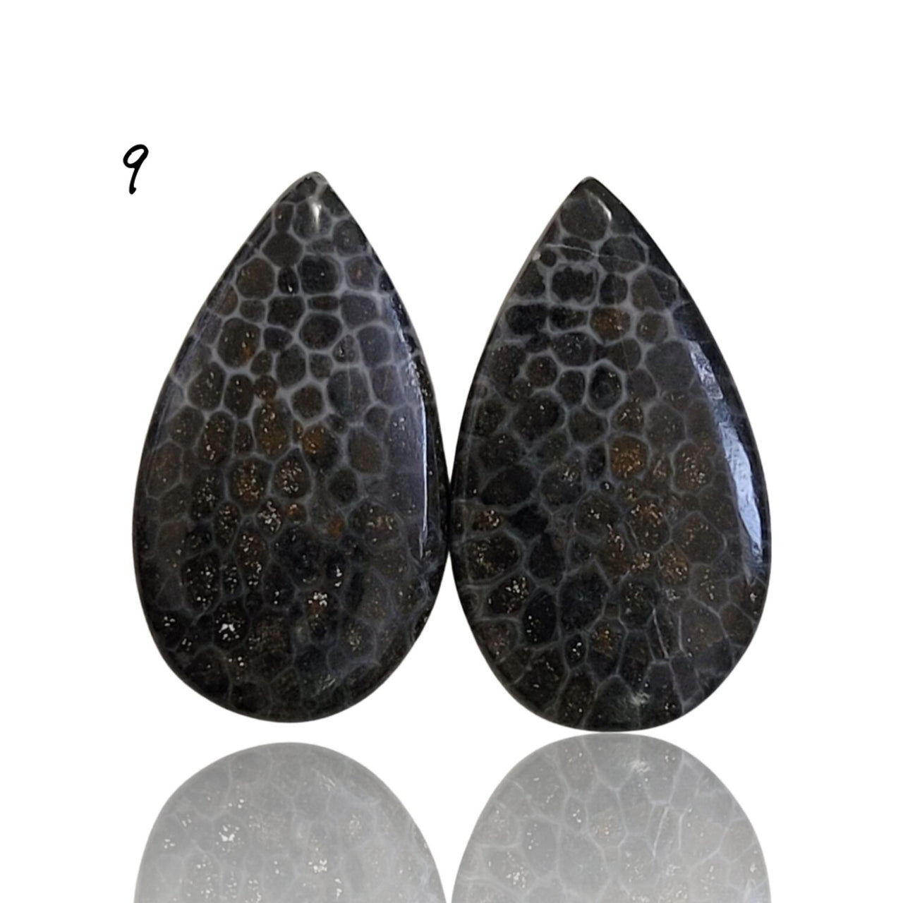 Natural Black Fossil Coral Cabochon Pairs - 9) 14Ct, approx. 21x12mm each