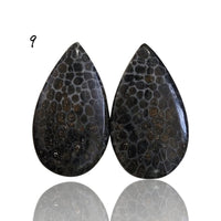 Thumbnail for Natural Black Fossil Coral Cabochon Pairs - 9) 14Ct, approx. 21x12mm each