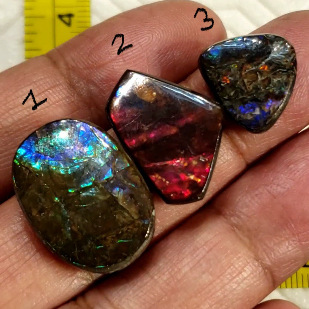 Natural Ammolite