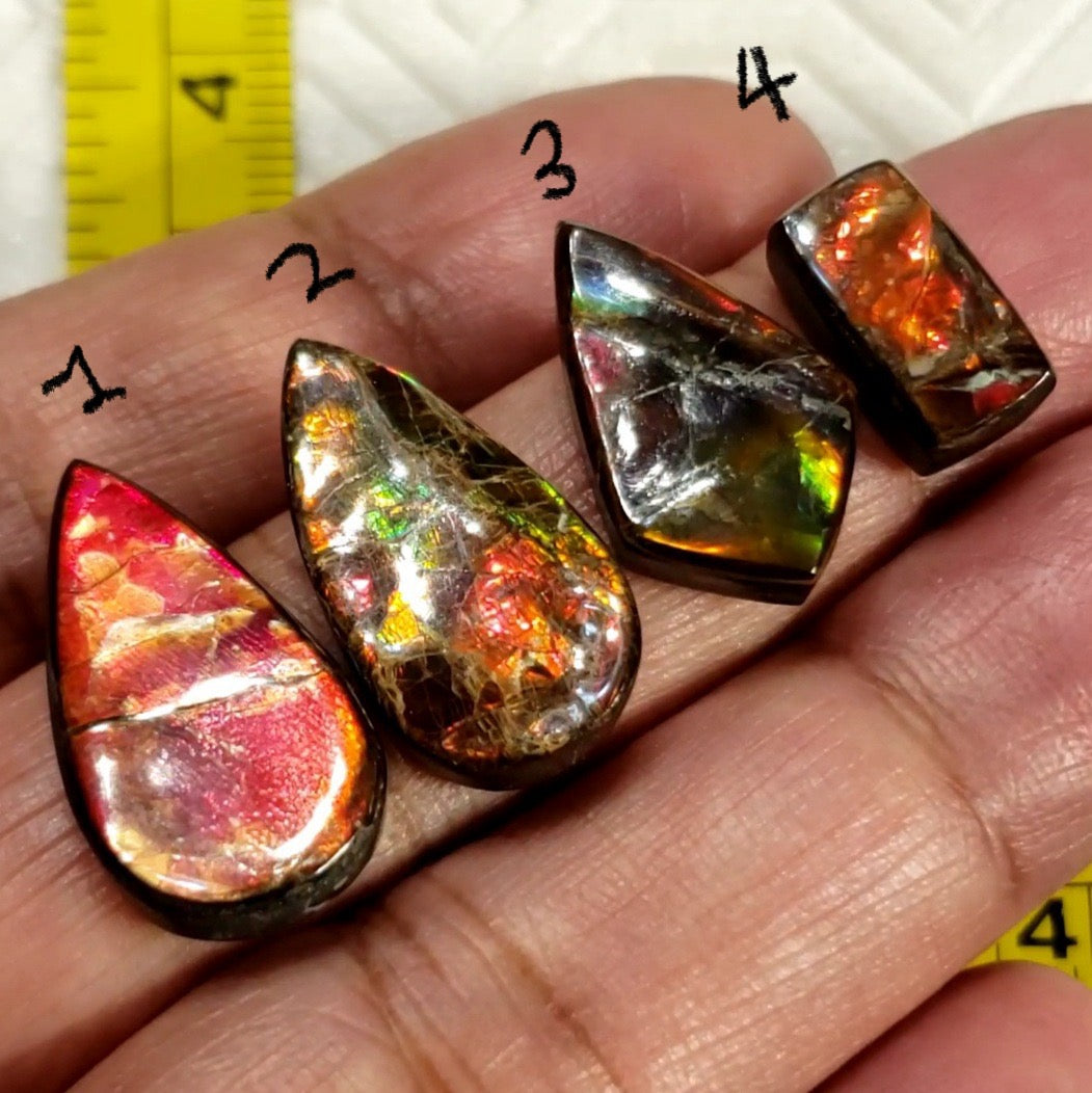 Natural Ammolite