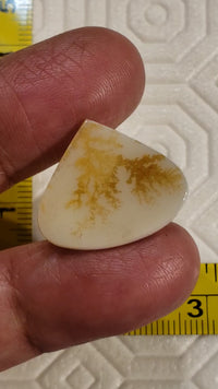 8.5Ct Natural Scenic Montana Agate Slice Cabochon. Size- approx. 22x20mm