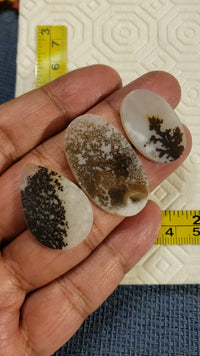3Pcs Natural Scenic Montana Agate Slice Cabochon LOT