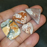 4Pcs 75Ct Natural Maligano Jasper, Rosetta Jasper, Sonoran Dendritic Jasper Cabochon LOT