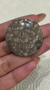 35.5Ct Natural Mushroom Rhyolite Cabochon. Size- approx. 30mm