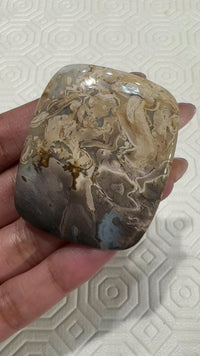 Natural Petrified Palm Root Agate Cabochon