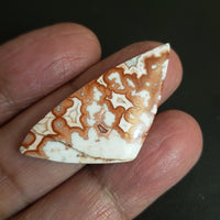 Thumbnail for Natural Rosetta Jasper Cabochon. Size- approx. 40x20mm