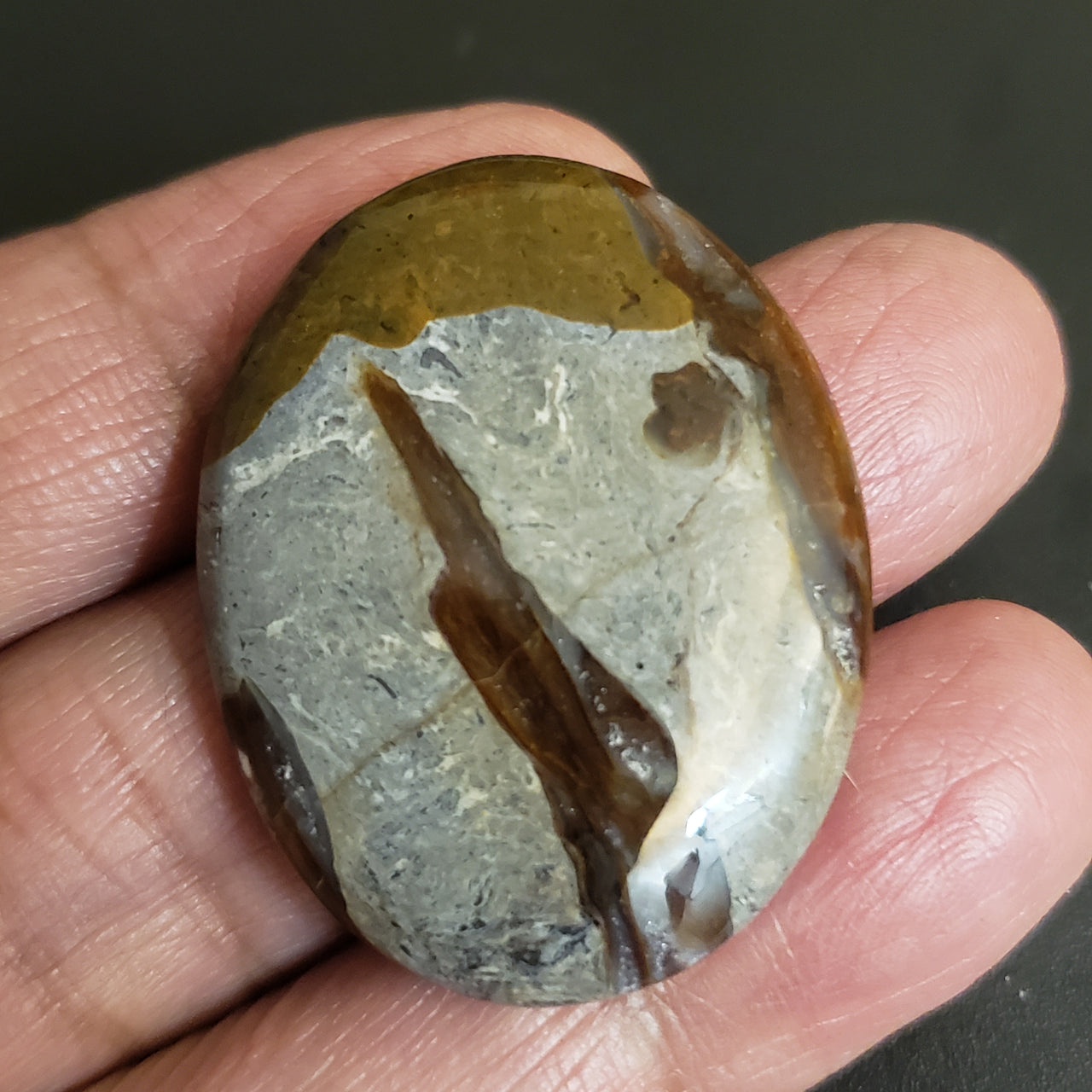 Natural Colus Fossil Agate Cabochon. Size- 37x29mm