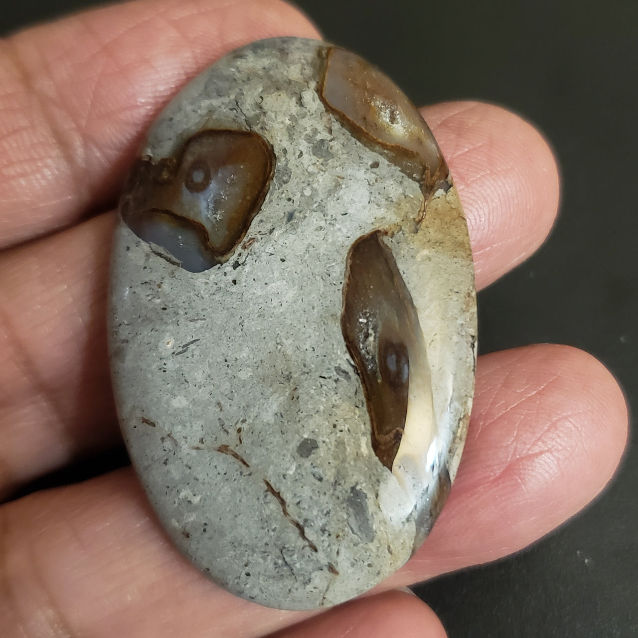 Natural Colus Fossil Agate Cabochon. Size- 47x30mm
