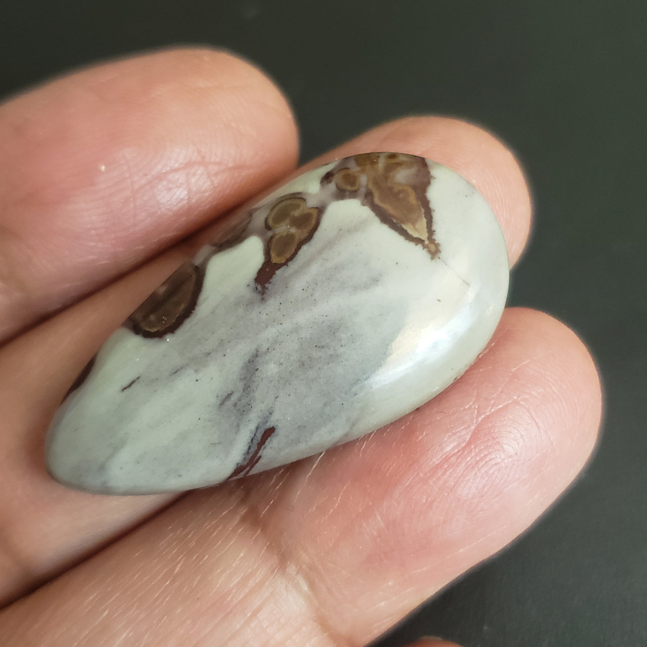 Natural Coffee Bean Jasper Cabochon. Size- approx. 37x19mm